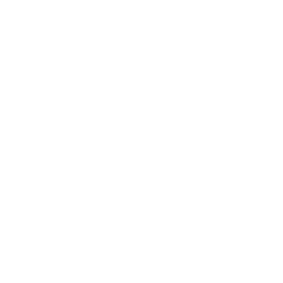 D5 Render